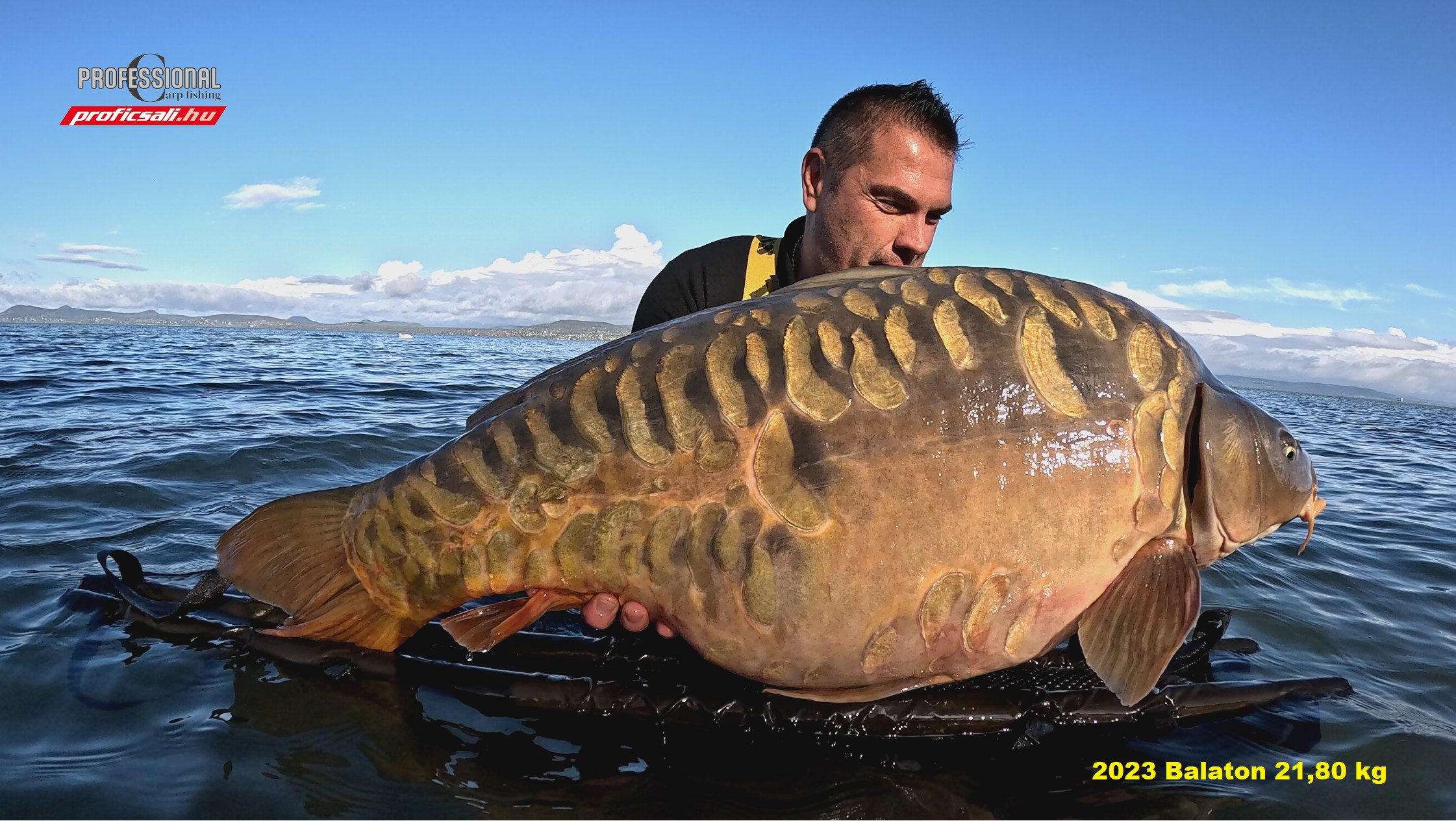 Új pillanatok a Delta Carp életében!